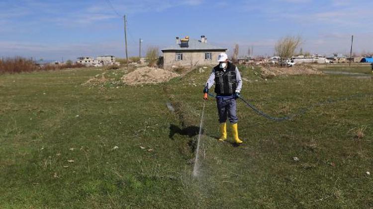 Büyükşehir Belediyesi bataklık ve sulak alanları ilaçladı