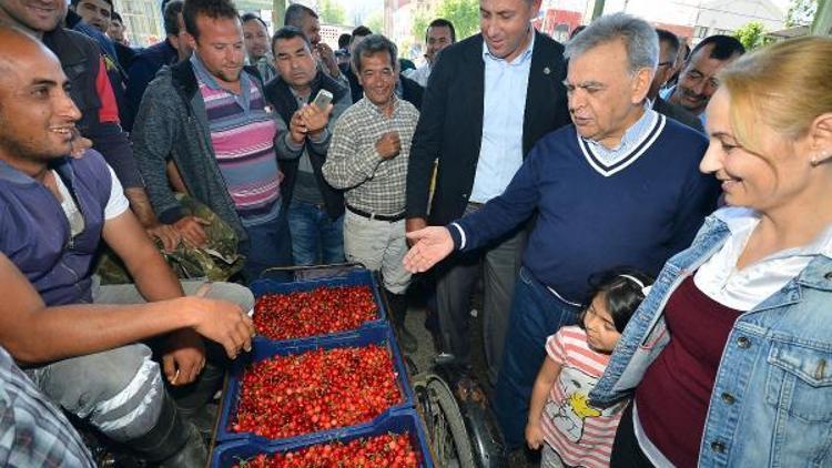 Kocaoğlu kiraz topladı