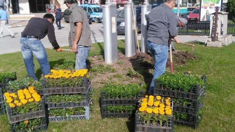 Safranboluda bahar temizliği