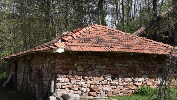 Tarihi su değirmenine Belediye sahip çıktı