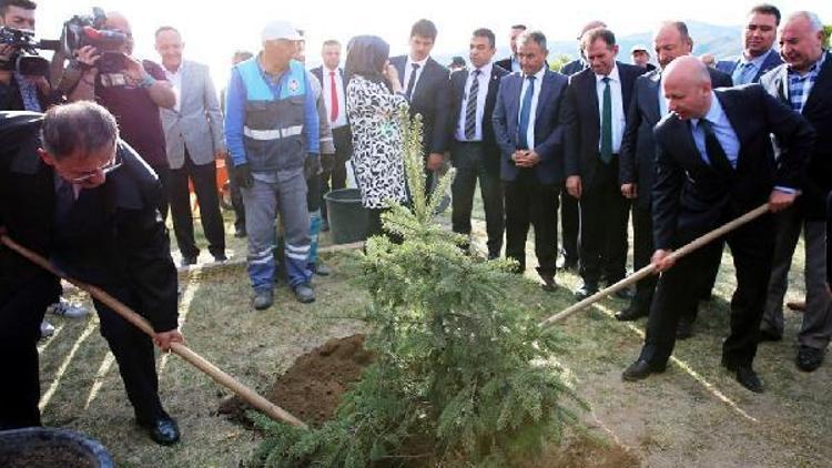 Kocasinandan, Çanakkale Şehitleri için 250 bin fidan