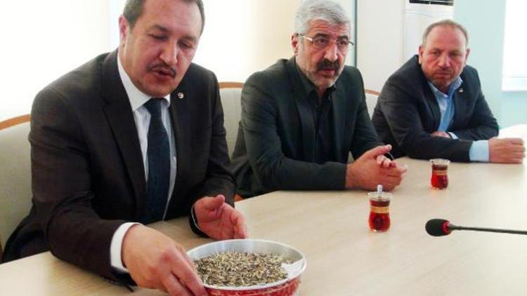 Şanlıurfa’da sezonun ilk arpasını üreten çiftçiye altın