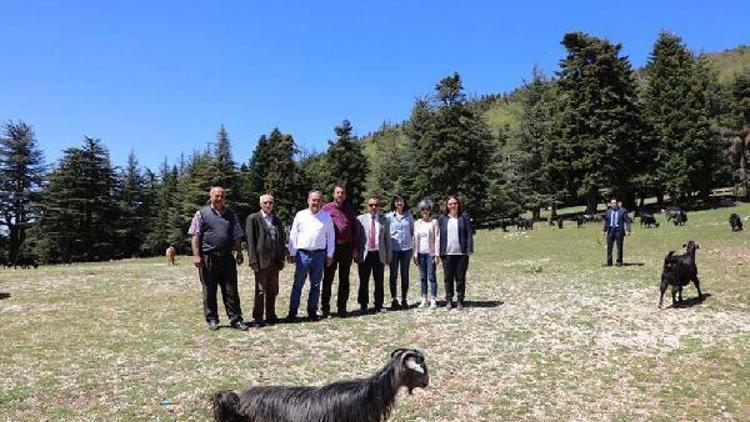 Huzurlu Tabiat Park alanında inceleme