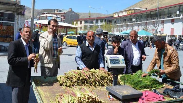 Dağ otları işsizlerin geçim kaynağı oldu