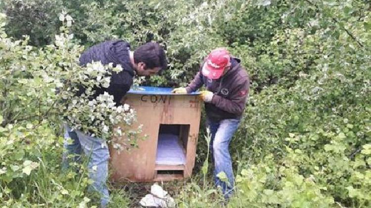 Öğrenciler proje ödevi olarak sokak köpekleri için kulübe yaptılar