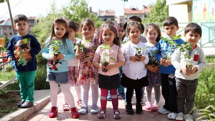 Yenimahallede minik eller toprakla buluştu