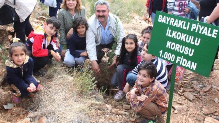 İlkokuldan bin fidanlık koru