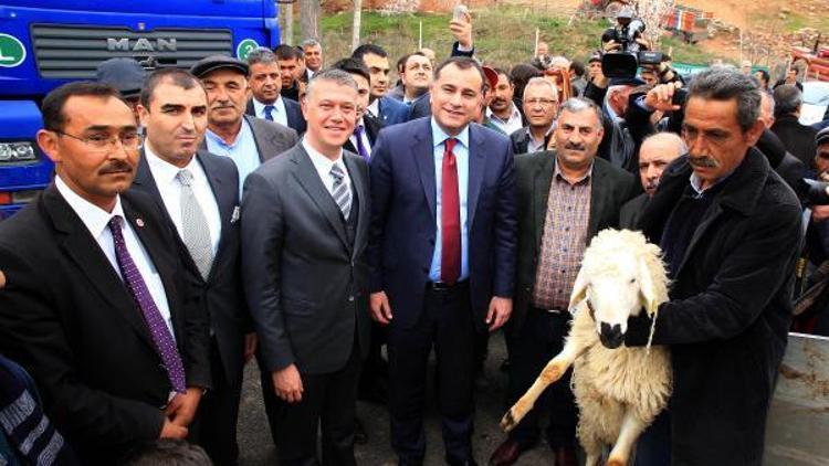 Çankayanın koyunları meralarda