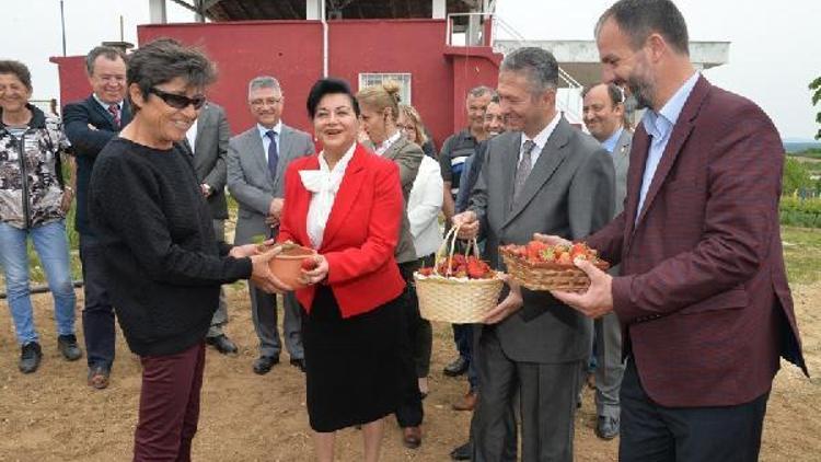 Vali Civelek, ‘Çilek Yetiştiriciliği Projesi’ törenine katıldı