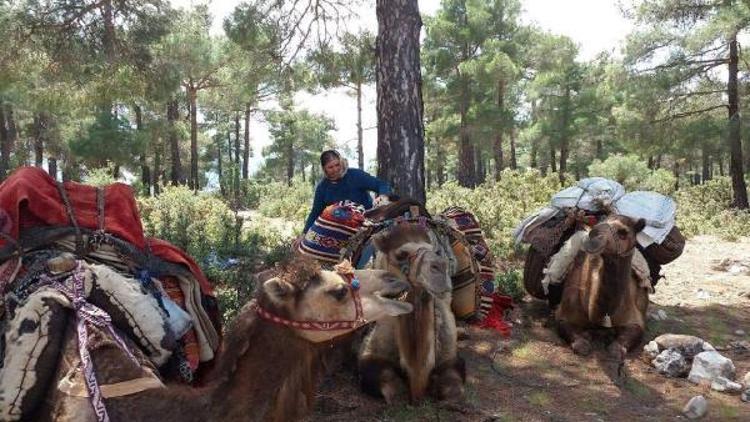 Son Konar- Göçerlerin yayla yolculuğu