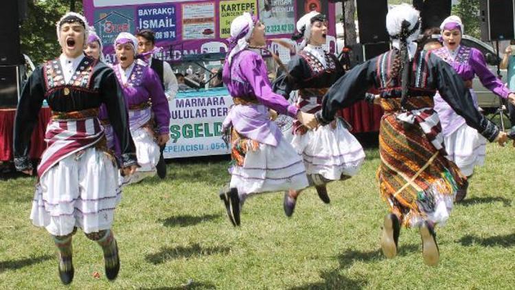 Ordulular piknik şöleninde buluştu