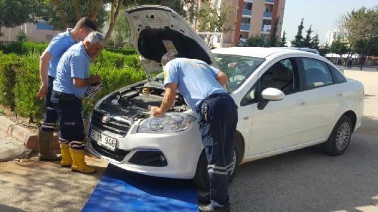 Mersinde otomobilde sıkışan kediyi itfaiye kurtardı