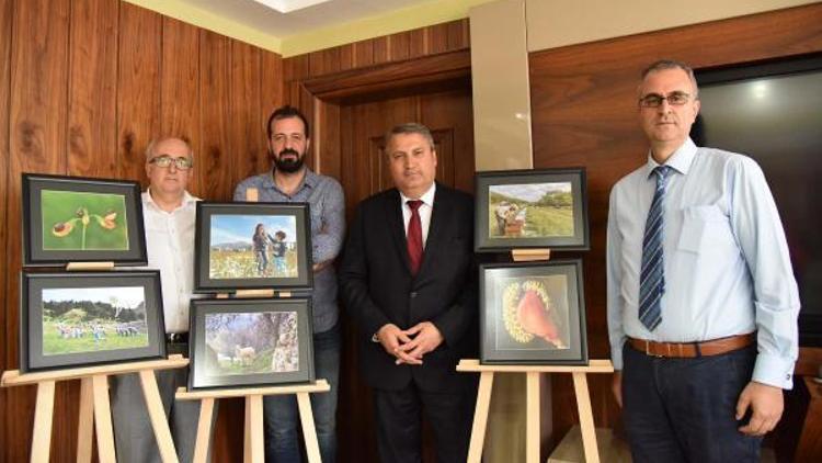 Baharı fotoğraflayıp, ödülleri kaptılar