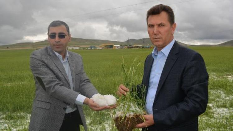 Niğdede 20 köyü sel ve dolu vurdu