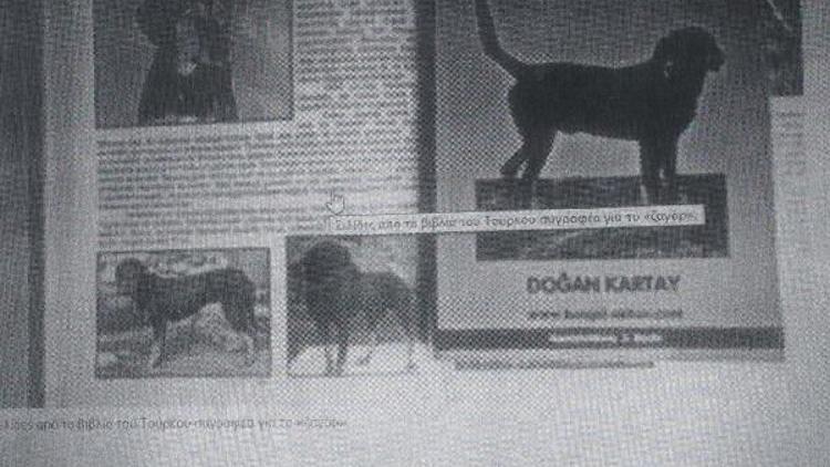 Yunanistana zağar köpeği tepkisi