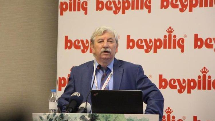 Beypi Genel Müdürü Koca: GDOnun bir sürü artıları var