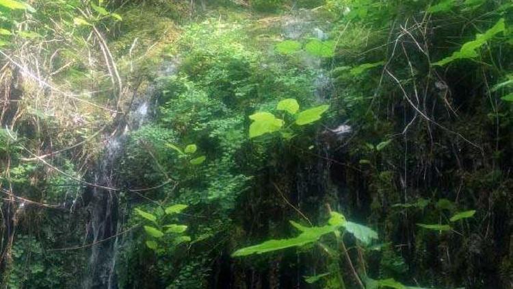 İtalyan eğitimci doğa gezisinde kayalıklardan düşerek öldü