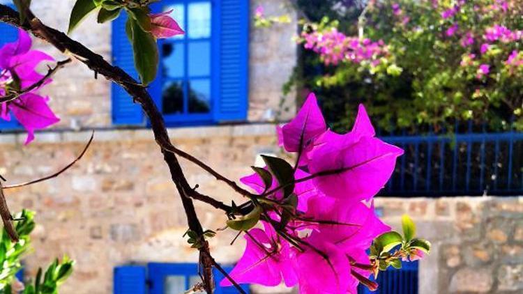 İlçenin güzellikleri Bodrum Aşkına sergilenecek