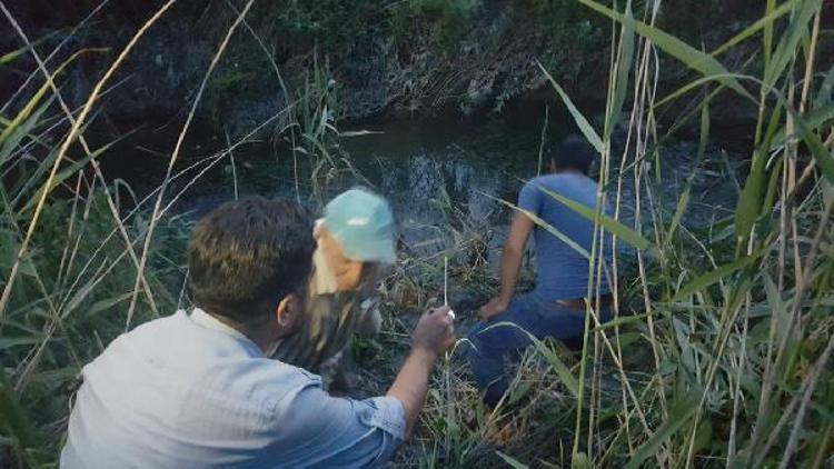 Kayıp Ecrinden bir iz yok - ek fotoğraflar