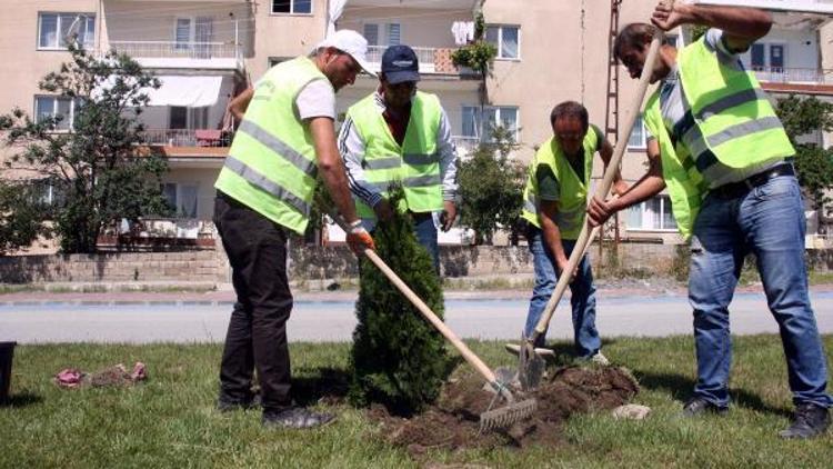 10 bin fidan toprakla buluşacak