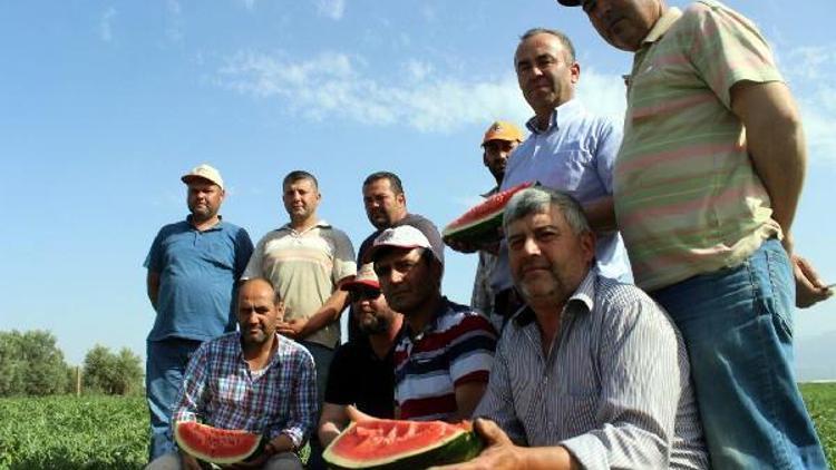 Salihliden karpuzda sahtecilik iddiası