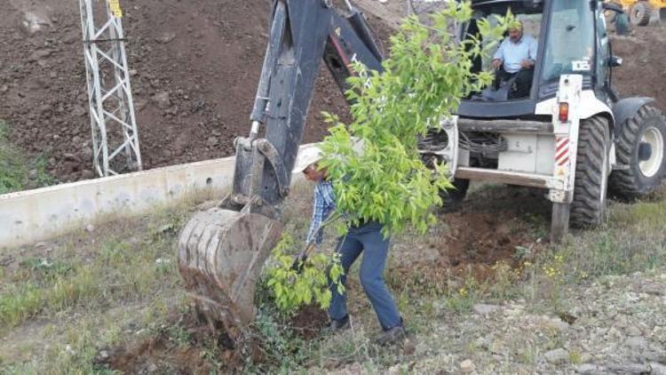 Varto Belediyesi peyzaj çalışmalarına başladı