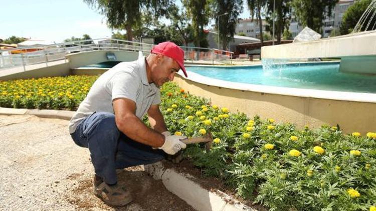 Karşıyaka farklı türlerde 300 bin çiçekle süsleniyor