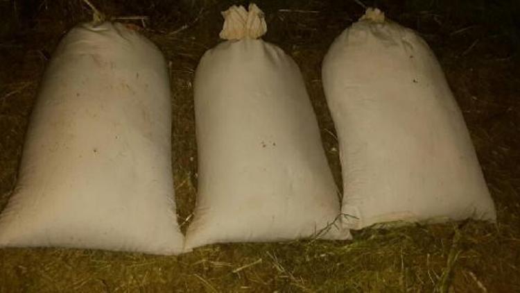 Diyarbakırda 52 kilo esrara 4 tutuklama