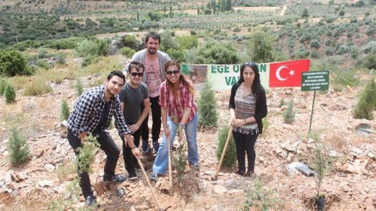 Bir fidan bir hayat dediler koru oluşturdular