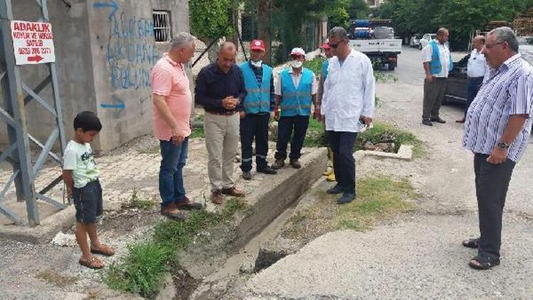 Başkan Culhadan ilaçlama denetimi