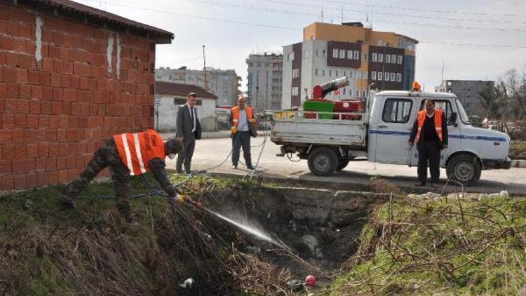 Terme Belediyesi haşereye savaş açtı