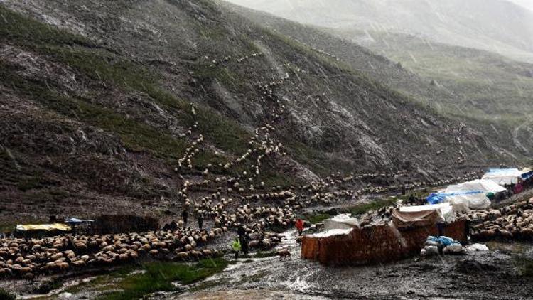 Şiddetli dolu yağışı yaylacılara zor anlar yaşattı