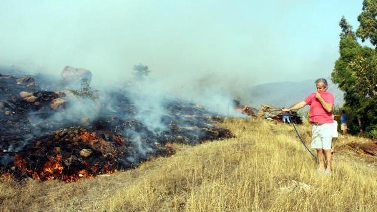 Bodrumda makilik alanda yangın çıktı (3)