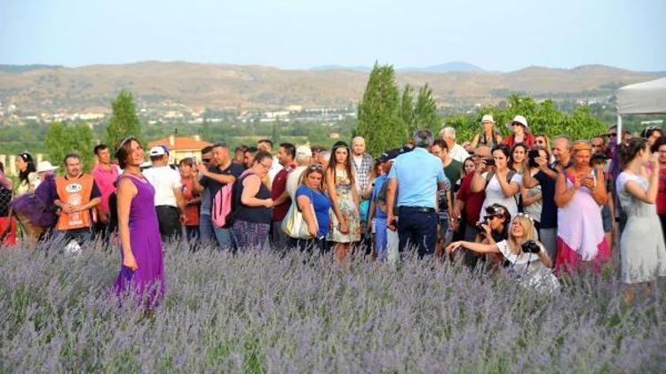 Sakin şehir Seferihisarda lavanta kokulu festival