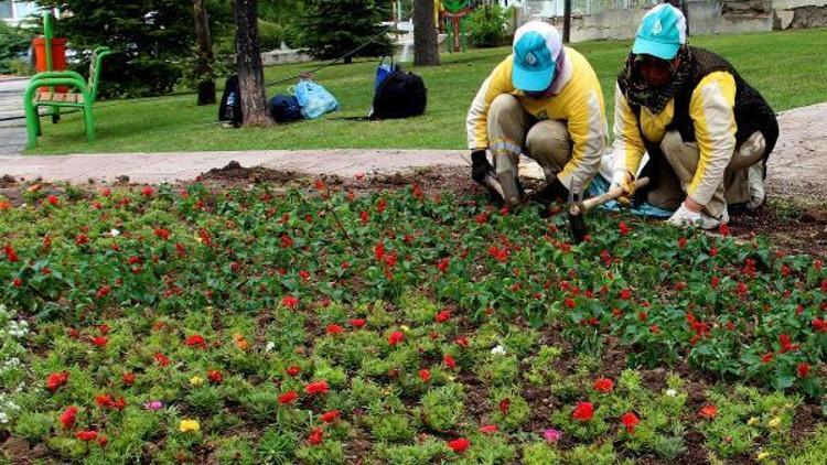 Parklar 450 bin çiçekle renklendi