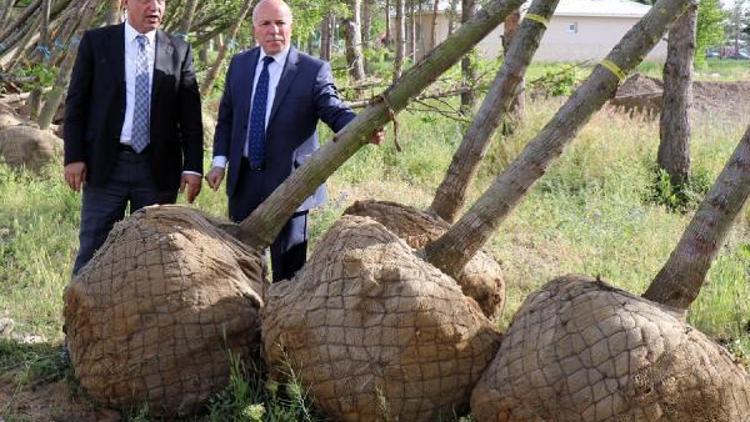 Milletvekili Ilıcalı, Sekmenle birlikte yatırımları inceledi