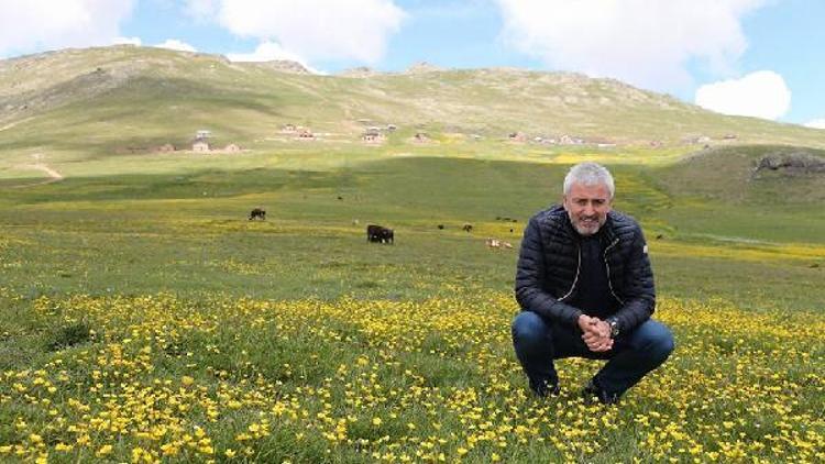 Doğu Karadenizde büyük tepkilere neden olan Yeşil Yol projesi Orduda tüm hızıyla sürüyor