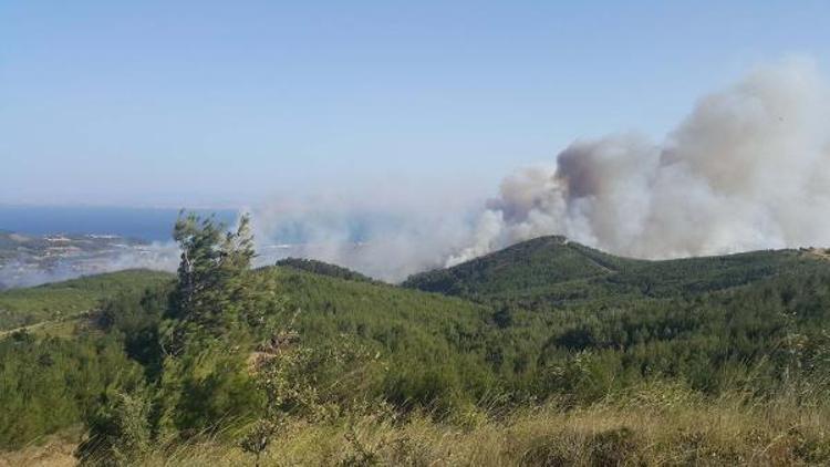 Keşan’da orman yangını (2)