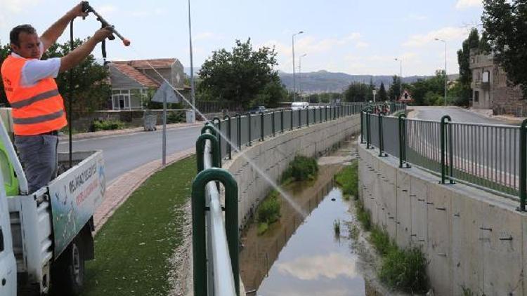 Melikgazi’de haşare mücadelesi