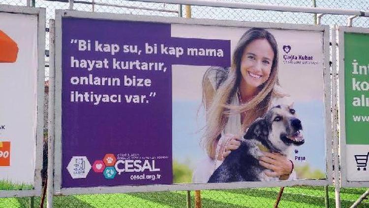 Sokak hayvanlarına Çağla Kubat desteği