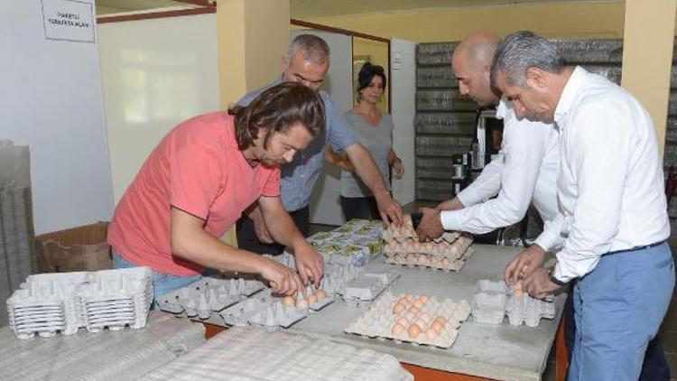 Büyükşehirden doğal yumurta satışı