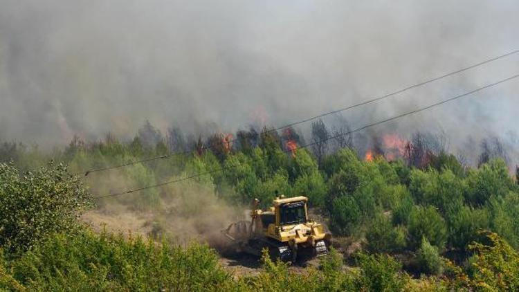 Tatil merkezi Adrasanda orman yangını - ek fotoğraflar