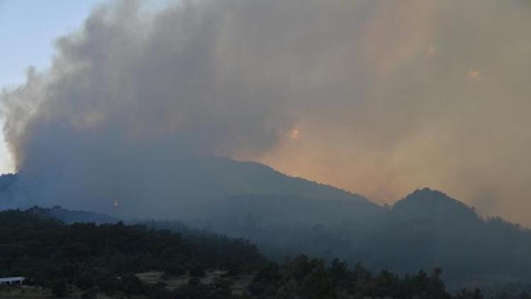 Tatil merkezi Adrasanda orman yangını - ek fotoğraflar