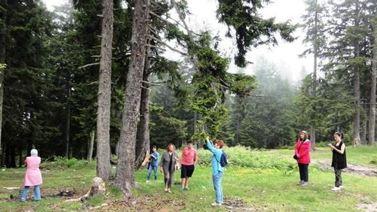 Giresun’da salgı balı arıcılığı geliştirme çalışmaları olumlu sonuç verdi