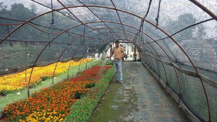 Mezarlık ziyaretlerine gidene çiçek belediyeden