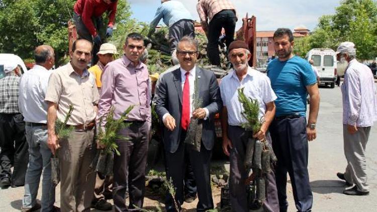 Hacılarda yeşil bir çevre için 7 bin fidan dağıtıldı