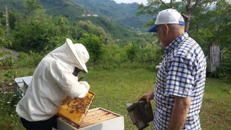 Bahar soğuk geçti, bal üretimi yüzde 25 azaldı