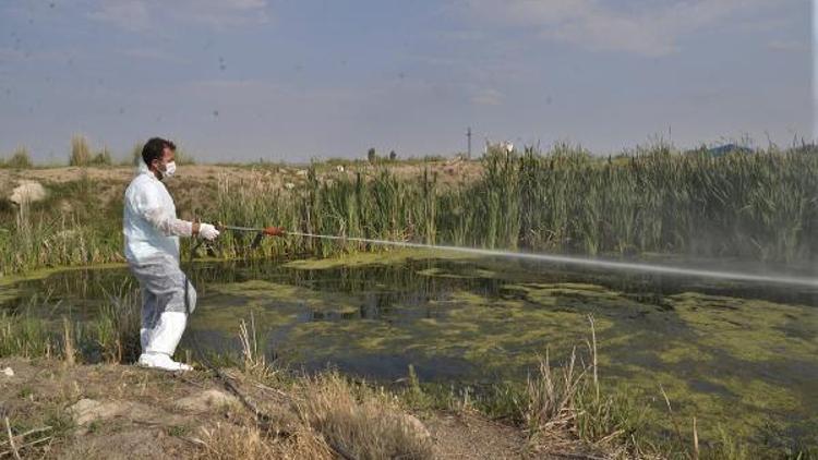 Nöbetçi ekipler bayramda da sinek, sivrisinek peşinde