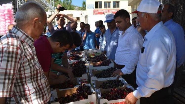 Niğdede kiraz festivali coşkusu