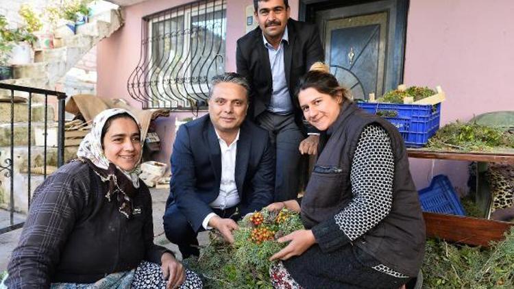 Zeytinköylü kadınlar için özel proje